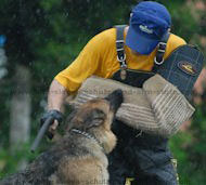 Dog police sleeve - X-Sleeve - AIR COMPRESSION SLEEVE  Dog police sleeve - X-Sleeve - AIR COMPRESSION SLEEVE