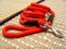 Cord nylon dog lead- dog leash