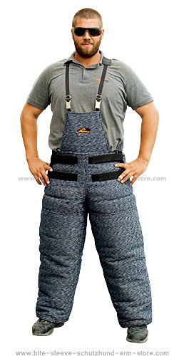 dog-training-scratch-pants