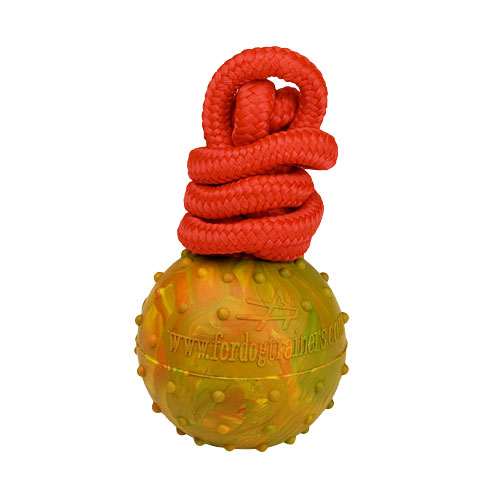 Solid Rubber Ball with String Attached for Training and Having Fun