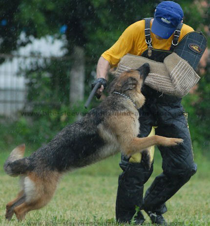 Dog police sleeve - X-Sleeve - AIR COMPRESSION SLEEVE