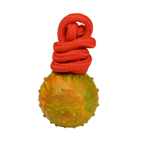 Dog Training Ball on String Made of High Quality Solid Rubber